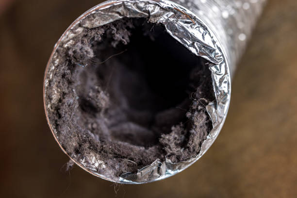Best Duct Cleaning for Homes  in South Greensburg, PA